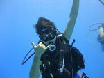 Oahu scuba 13
