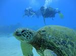 Oahu scuba 02