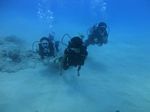 Oahu scuba 24