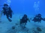 Oahu scuba 25