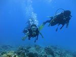 Oahu scuba 27