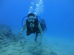 Oahu scuba 28
