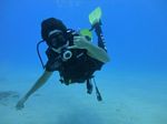 Oahu scuba 29