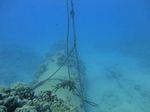 Oahu scuba 02