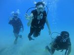 Oahu scuba 31