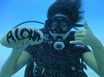 Oahu scuba 33