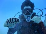 Oahu scuba 35