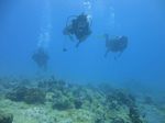 Oahu scuba 88