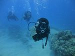 Oahu scuba 39