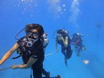 Oahu scuba 40