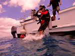Oahu scuba 45