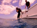 Oahu scuba 47