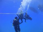 Oahu scuba 48