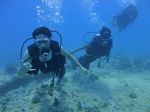 Oahu scuba 50