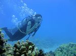 Oahu scuba 51
