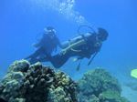 Oahu scuba 52