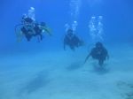 Oahu scuba 53