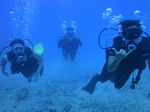 Oahu scuba 58