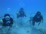 Oahu scuba 60