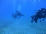 Oahu scuba 67