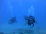 Oahu scuba 68