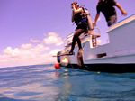 Oahu scuba 06