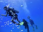 Oahu scuba 71