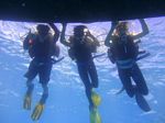 Oahu scuba 08