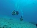 Hawaii Scuba divng 11