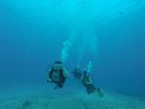 Hawaii Scuba divng 13