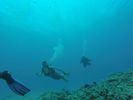 Hawaii Scuba divng 14