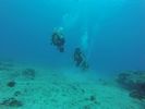 Hawaii Scuba divng 19