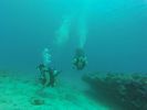 Hawaii Scuba divng 21