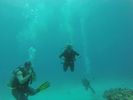 Hawaii Scuba divng 30