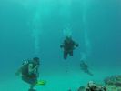 Hawaii Scuba divng 31