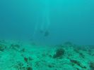 Hawaii Scuba divng 33