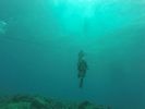 Hawaii Scuba divng 36