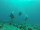 Hawaii Scuba divng 39