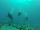 Hawaii Scuba divng 40