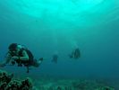 Hawaii Scuba divng 42