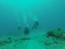 Hawaii Scuba divng 43