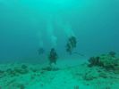 Hawaii Scuba divng 44