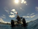 Hawaii Scuba divng 04