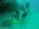 Hawaii Scuba divng 53