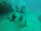 Hawaii Scuba divng 56