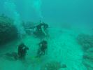 Hawaii Scuba divng 57