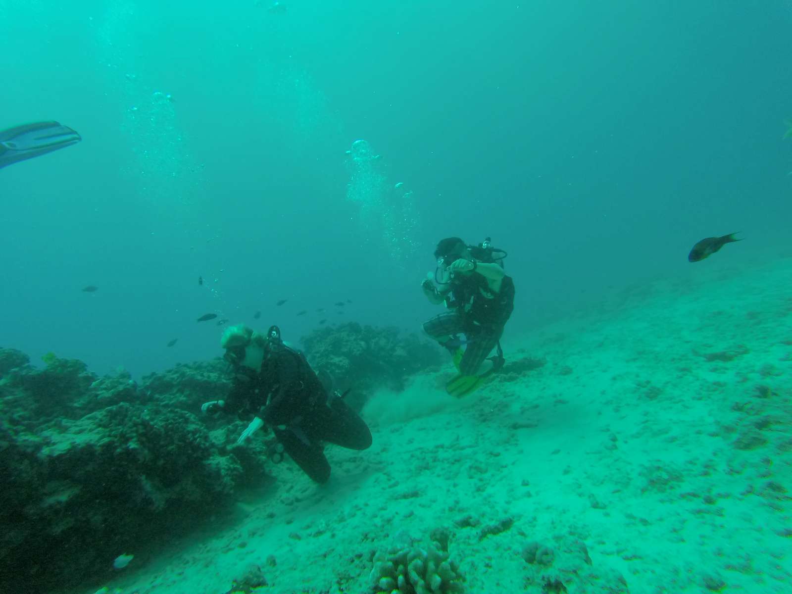 Hawaii Scuba Diving - 06-03-2016