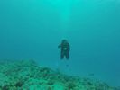 Hawaii Scuba divng 59