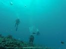 Hawaii Scuba divng 60