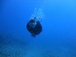 Hawaii Scuba divng 10